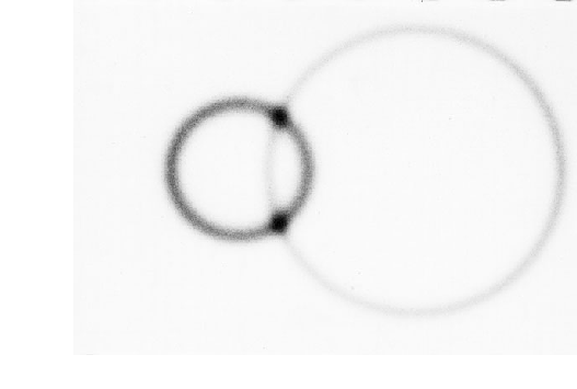 Image at 681nm